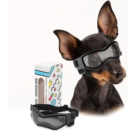 Filiyano-Lunettes pour chiens de petite race, lunettes de soleil pour petits chiens avec protection UV pour la conduite en extérieur, noires (1/5)
