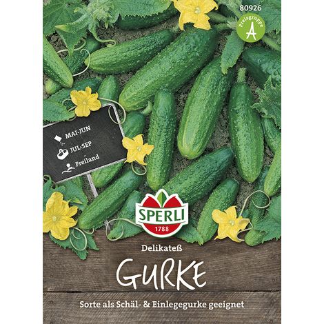 Sperli Landgurken Delikateß - Gemüsesamen (1/2)
