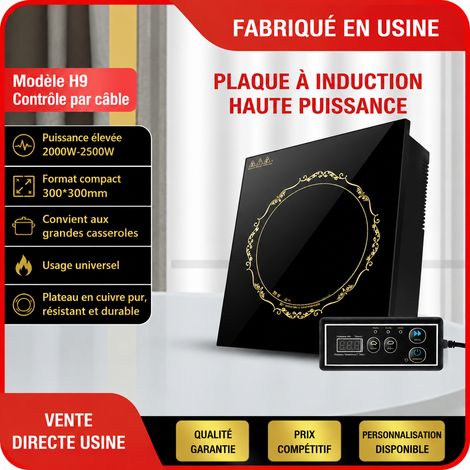 Plaque à induction encastrable tactile carrée 300x300 mm 2000W pour fondue chinoise et restauration 2000w réf 6825 3 kg – Livraison gratuite (1/5)