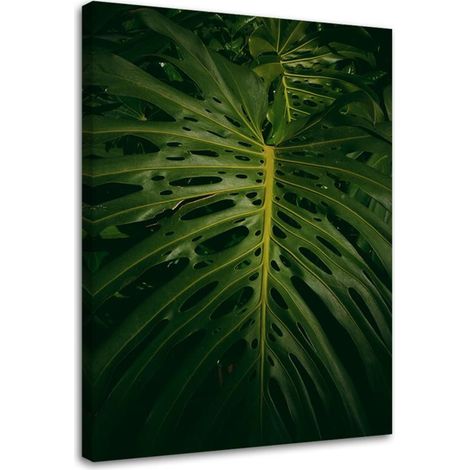 Tableau sur toile Feuilles exotiques Nature 70x100 (1/5)