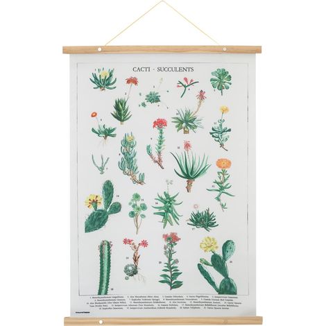 Striscione in legno cactus botanici kokonote (1/4)