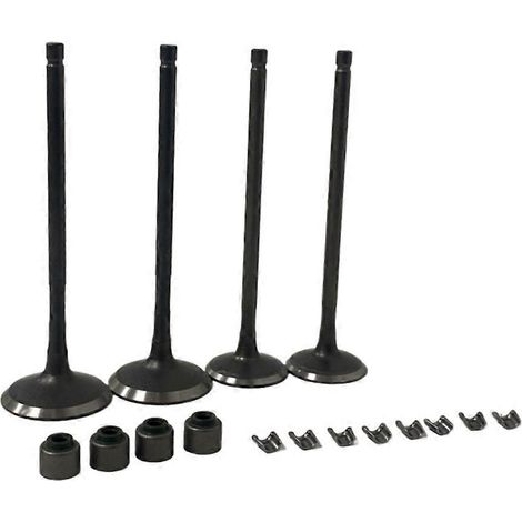 Kit de tiges d'admission et de soupapes d'échappement pour moteurs de motos BAJAJ PULSAR 200NS, NS200, AS200, RS200 et Rouser 200. Accessoires inclus. (1/5)
