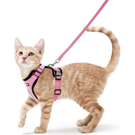 Arnés para gatos, correa para perros pequeños, arnés ajustable para gatitos, rosa, talla S, reflectante, collar, chaleco transpirable para conejos, gatos europeos de pelo corto, Maine Coon y persas, e (1/5)