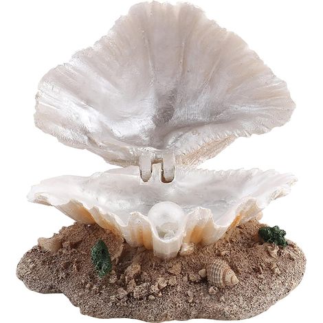 Décor De Récif De Corail pour Aquariums, Coquille Aérée Et Barboteur De Perles, à Base De Résine, Adapté à Tous Les Types D'aquarium (1/5)