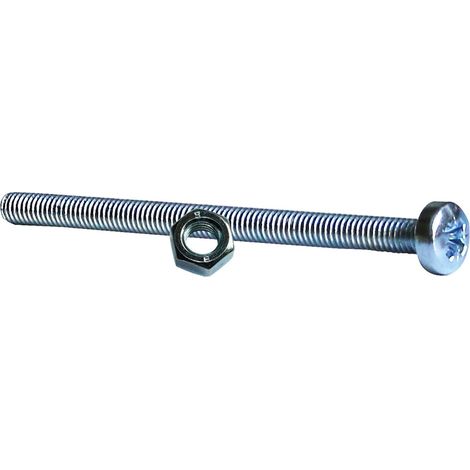 Vis à métaux zinguée tête cylindrique bombée PZ cruciforme Viswood Ø 6x40 mm (lot de 8 vis+écrou)