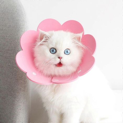 Collier anti-léchage pour chat Elizabethan Circle Noel Recovery Collar pour chien et chat - Taille S (1/4)