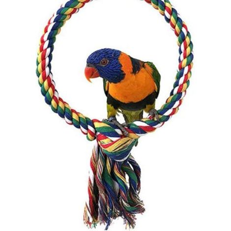 Support Coton Corde Jouet pour Perroquet Décoration de Cage à Oiseaux Jouet Budgies Perche à Oiseaux de Suspension Jouet à Mâcher Cage Balançoire pour Parrot Perchoirs (1/5)