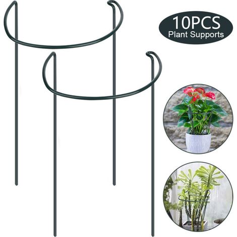 Support pour Plantes Demi-Cercle, Tuteur Jardin pour Fleurs d'Intérieur, Anneau de Soutien (1/5)