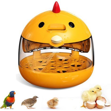 Incubateur d'œufs pour l'éclosion de poussins, retourneur d'œufs automatique, mire-œufs pour petites volailles canards cailles œufs, incubateur intelligent fenêtre transparente 360° avec (1/5)