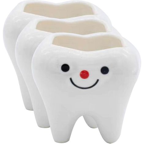 Petits pots en céramique à dents, compatibles avec les plantes succulentes, ensemble de 3 pièces, blanc (1/5)