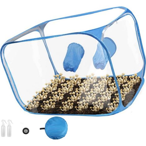 Filiyano-tente de culture transparente portable pour la culture de champignons et le démarrage de plantes (1/5)