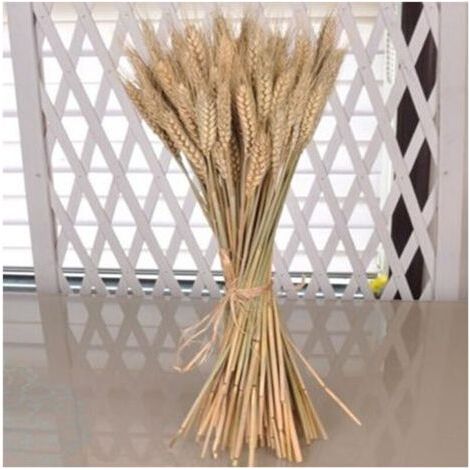 Künstliche Weizenähren, Dekoration, natürliche Farbe, 92 cm hoch, 80 Stück
