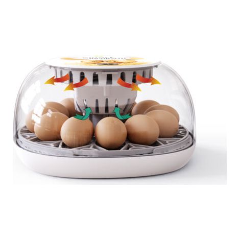 Ensemble de 12 pièces pour l'éclosion et l'élevage de poussins à domicile, comprenant un incubateur, un incubateur à œufs et un incubateur à cailles. (1/5)