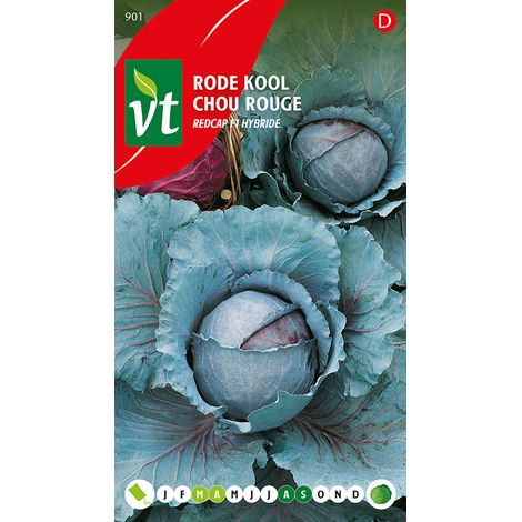 Chou Rouge Redcap F1 - Ca. 0,3 gr (Livraison Gratuite) (1/2)