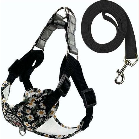 Fournitures pour animaux de compagnie Laisse respirante pour chien Laisse imprimée pour chien de promenade pour chien de petite et moyenne taille Nouveau harnais pour animaux de compagnie en gros (1/5)