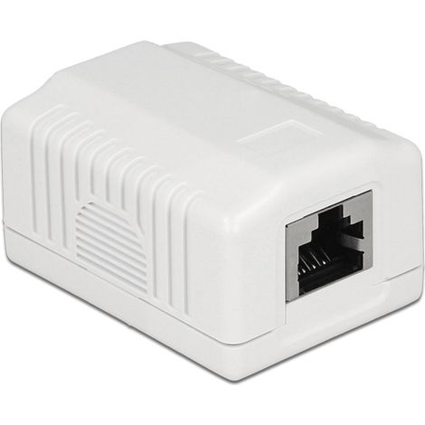 Delock 86196 RJ-45 Wandsteckdose Weiß Modernes Design (1/4)