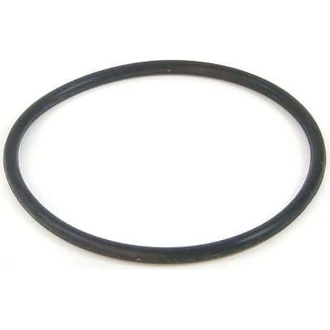 Pentair – Joint pour WC – Diamètre extérieur 50mm – Diamètre intérieur 40mm – Pack de 2 unités – Compatible avec pompes Swimmey (1/2)