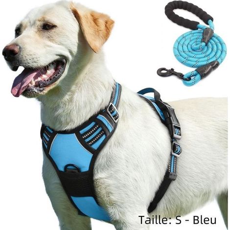 Filiyano-Harnais pour chien ajustable, léger, respirant et réfléchissant avec laisse stable de 1,5 m - Taille S, bleu (1/5)