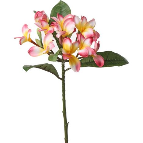 Frangipanier factice Rose & jaune en branche fleurie H73cm top et rare (1/3)