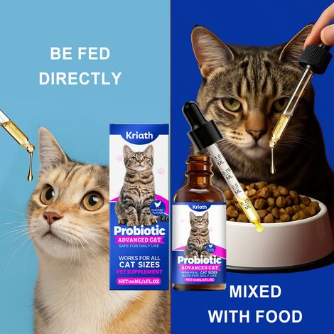 Cat probiotic drops gently protect your cat's gut health daily cat care drops -- 60ml (1/5)