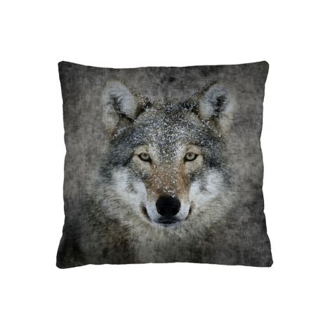 Kissen - lupo 40x40 cm (1/3)