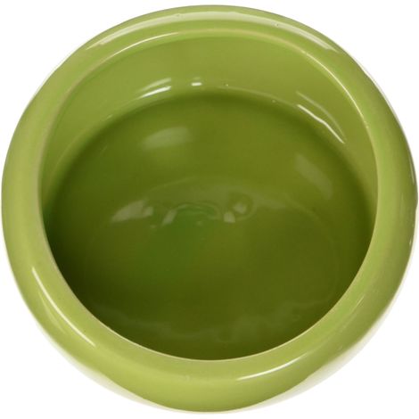 Living World - Piatto ergonomico, grande, colore: Verde (1/3)