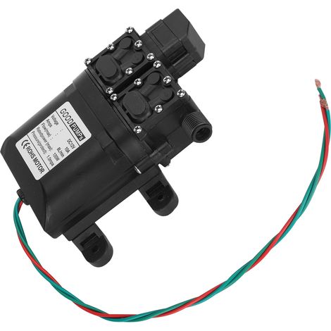 12V 120W 8L Hochleistungs-Membran-Hochdruckpumpe mit Doppelkern und Kupferanschluss (1/5)