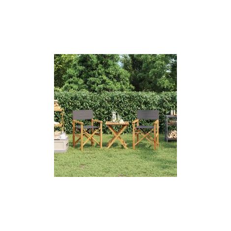 Chaises de metteur en scène pliantes lot de 2 Bois teck massif (1/5)