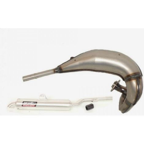 Pot d échappement GIANNELLI pour Moto Yamaha 125 TDR 1993 à 2003