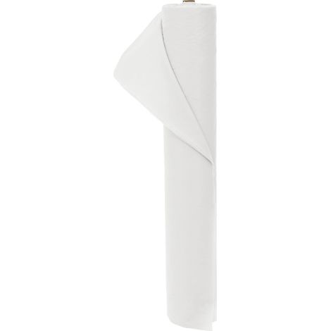 Frostschutz-Pflanzen-Vlies 70 gsm 10 x 3,2 m Vliesstoff Weiß vidaXL
