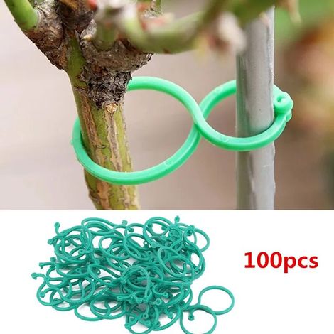Green Mobility-Clip de sangle en rotin de jardin de taille L, support d'anneau de plante, tomate, support de plante, outils, outil de support (1/5)
