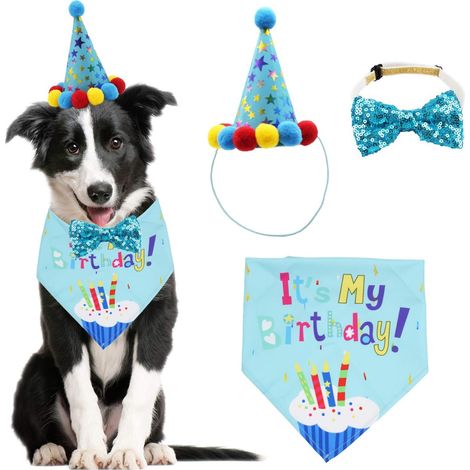 Bandana, écharpe et chapeau d'anniversaire pour chien (garçon ou fille) avec nœud papillon mignon, pour chiens de petite et moyenne taille. (1/5)