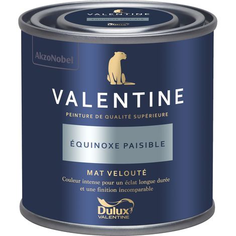 Dulux Valentine Peinture intérieure de haute qualité - Valentine - Couleur intense & pouvoir couvrant élevé - Mat Velouté Équinoxe Paisible 0,125 L