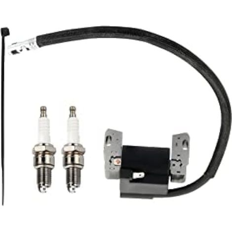 Compatible avec bobine de module d'allumage Armature-Magneto 591459 492341 pour moteur tondeuse à gazon BS 491312 490586 715231 (1/5)