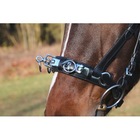 Caveçon Covalliero exclusif cuir ajustable rembourré