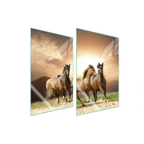 Plaque de protection en verre POUR la cuisine 2x35x52 chevaux (1/5)