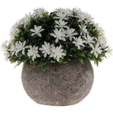 Künstliche Mini-Topfgrasblume aus Kunststoff – 13 cm (Höhe)-White (1/5)
