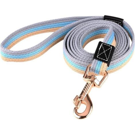 Laisse de dressage pour chien durable de 2 m, antidérapante, adaptée aux chiens de petite, moyenne et grande taille (bleu) (1/5)