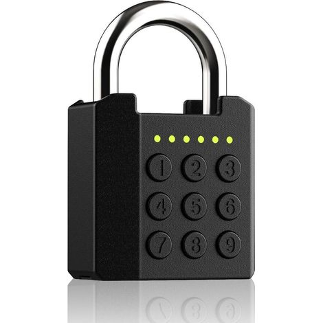 Intelligentes Vorhängeschloss mit APP-Steuerung, IP67, Zinklegierung, schlüsselloser Zugang