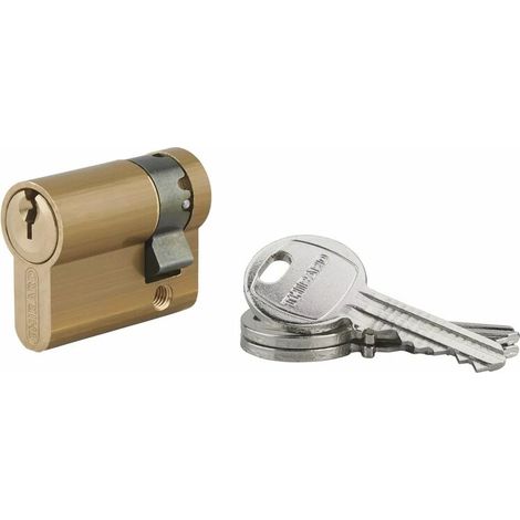 Cylindre de serrure 30 x 10 mm – 5 goupilles en maillechort – Panneton anti-arrachement – 3 clés en acier nickelé - HG 30 X (1/2)