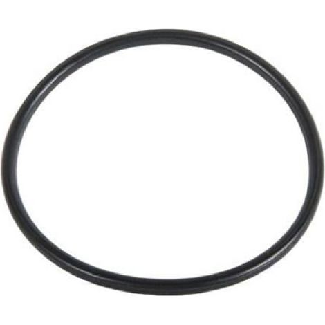 O.RING PER FILTRO 244-HYMFI 75.87 x 2.62 - Tipo F