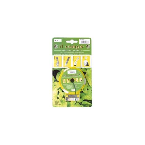 PIATTINA ANIMATA IN GABBIETTA- - mt.50 - 6 blister T-REX