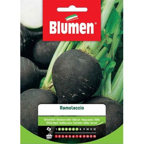 SEMI RAMOLACCIO BLUMEN SEMENTI ORTO