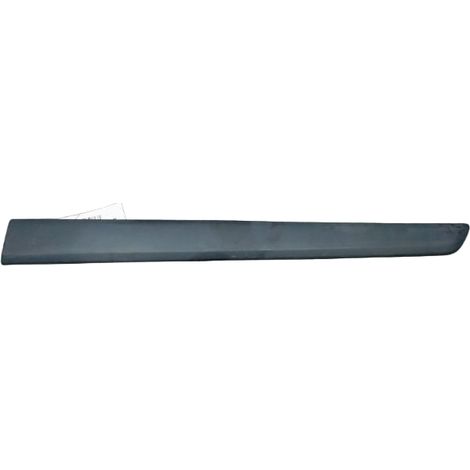 Protection Porte Arriere Gauche RENAULT Kangoo Express 2008- [PRODUIT D'OCCASION]♻️808211241r (1/3)