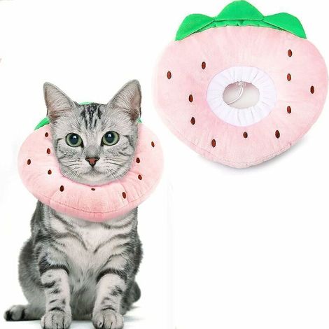 Katzen- und Hundehalsbänder, verstellbares Komfort-Schutzhalsband, postoperativer Bissschutz (Erdbeere, S), Sunny (1/5)