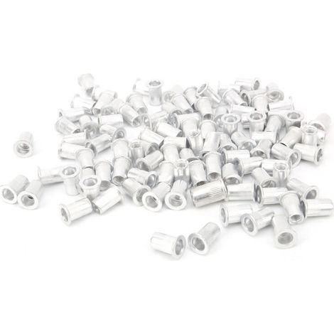 Kit de Rivets à Nut 100Pcs WJ‑30045M6 à tête plate en aluminium pour montage vertical (1/5)
