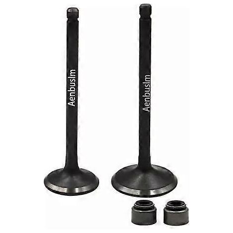 Yamaha Ttr230 Ttr225 Ttr 230 Exhaust Intake Valves( )