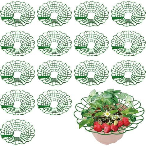 Support de Fraisier 15 Pièces, Cadre de Support pour Fraises avec 3 Pieds Solides, Plateau Amovible pour Culture de Fraises, Structure Robust (Vert) (1/5)