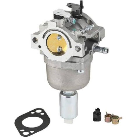 Vergaser Vergaser 14 PS 15 PS 16 PS 17 PS 18 PS für Briggs und Stratton Vergaser 799727 698620 Vergaser (1/5)