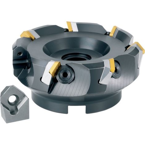 Fresa Per Spianatura 45 Gradi M. Ik.D 125 Millimetri M.Kassette Z 7